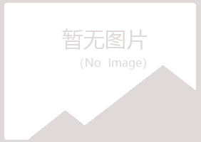 铅山县盼夏采矿有限公司